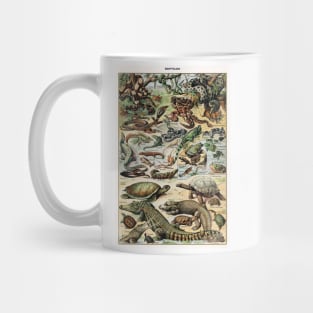 Reptiles Mug